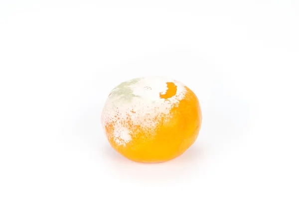 Malcheiroso fungo podre molde laranja — Fotografia de Stock