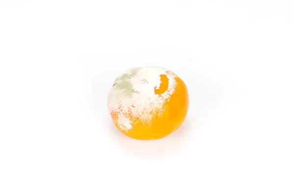 Moisissure pourrie pourrie puante orange — Photo