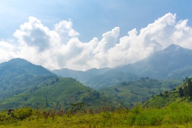 Güzel dağlar görünümünü içeren teraslı alanları