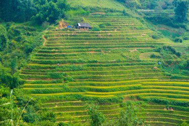 Güzel dağlar görünümünü içeren teraslı alanları