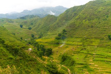 Güzel dağlar görünümünü içeren teraslı alanları