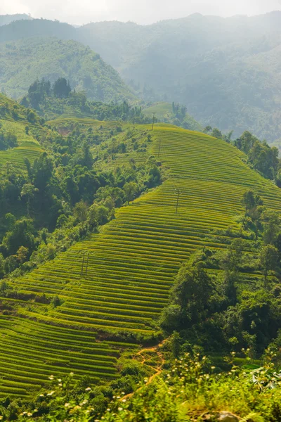 Beautiful View of mountains contain terraced fields — Stock Photo, Image