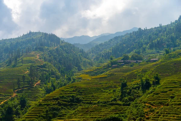 Belle vue sur les montagnes contiennent des champs en terrasses — Photo