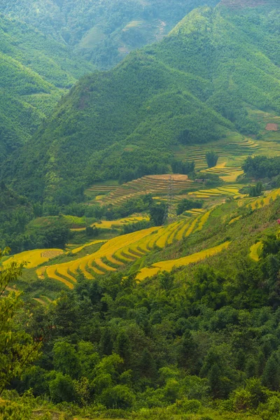 Beautiful View of mountains contain terraced fields — Stock Photo, Image