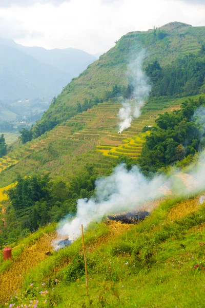 Brûler les cultures avant de prendre une nouvelle plantation — Photo