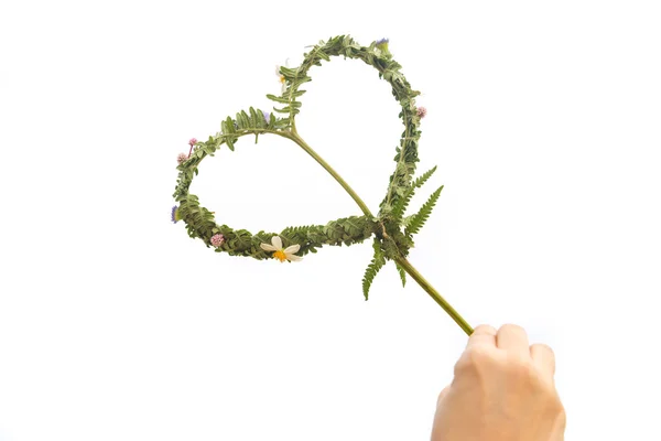 Hand som håller av hjärtat med blad handgjorda — Stockfoto