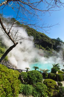 Kaplıca, Beppu, Oita, Japonya