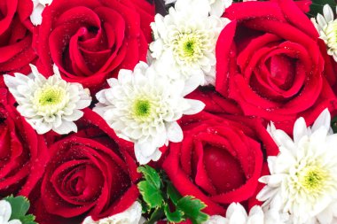 Gül ve karanfil. Sevgililer günü için hediye