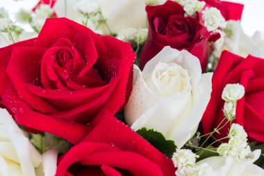 Kırmızı ve beyaz gül birlikte düzenlemek