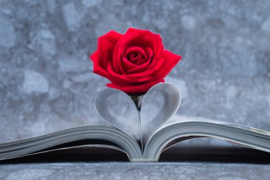 Rose bir kalp şekli bükülmüş kitaplar sayfasında yer