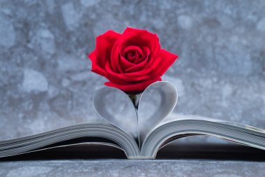 Rose placed on the books page that is bent into a heart shape