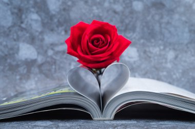 Rose bir kalp şekli bükülmüş kitaplar sayfasında yer