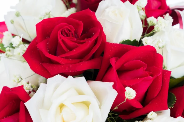 Vermelho e branco rosa organizar juntos — Fotografia de Stock