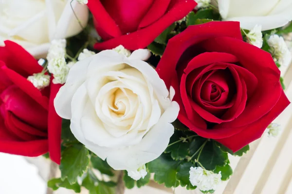 Red and white rose arrange together — Stock Photo, Image