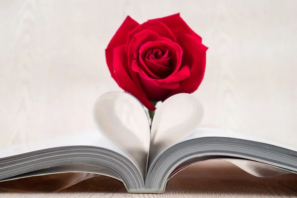Rose placed on the books page that is bent into a heart shape — Stock Photo, Image
