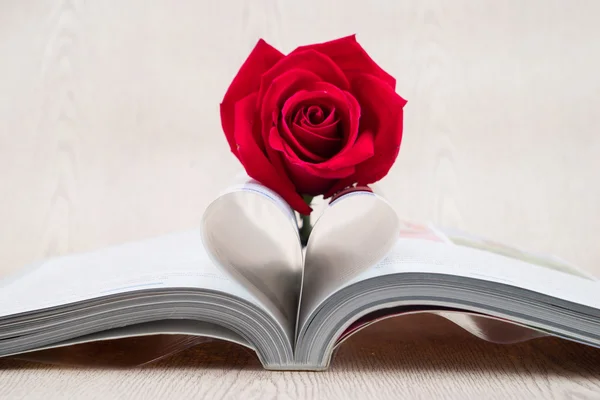 Rose placed on the books page that is bent into a heart shape — Stock Photo, Image