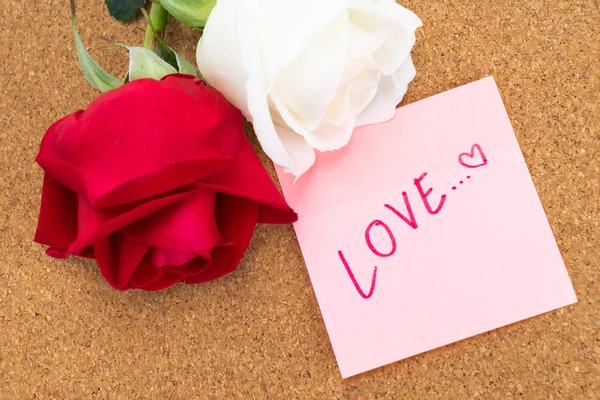 Red and white rose with post it with word "love", corkboard back — Stock Photo, Image