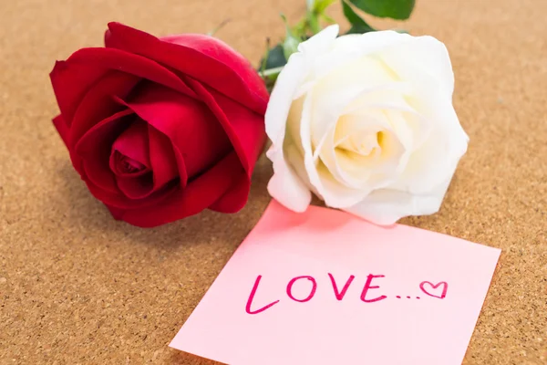 Red and white rose with post it with word "love", corkboard back — Stock Photo, Image