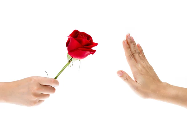 Hand verweigert das Geschenk, Blumen — Stockfoto