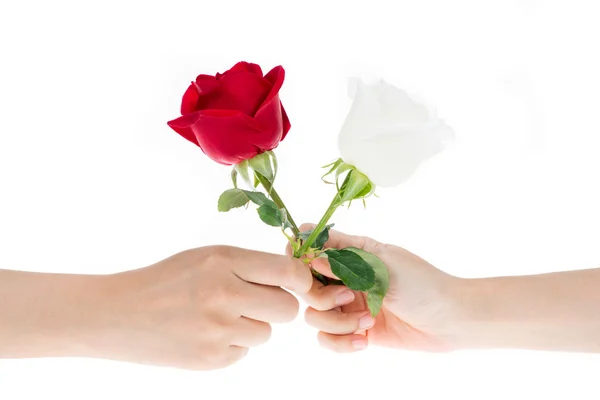 2 flores de troca de mão um a outro — Fotografia de Stock