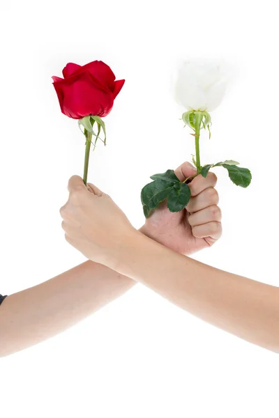Mão usando rosa vermelha e rosa branca para fazer um braço de luta — Fotografia de Stock