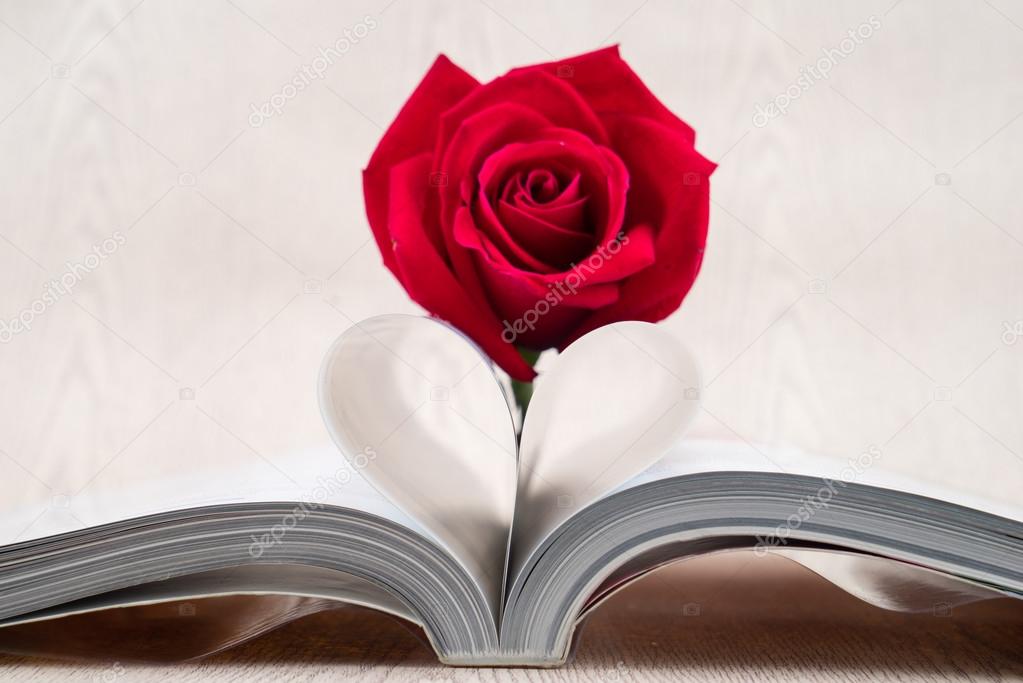 Rose placed on the books page that is bent into a heart shape