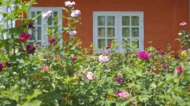 İngilizce ülke vintage tarzı evin Bahçe ön plan, dolly atış kurulması ile dış görünümü