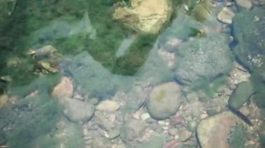 Su şelale alan, üstten görünüm, metin için yer altında küçük taşlarla moss