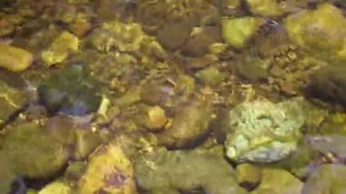 Şelale suyu sığ su alan, üstten görünüm, metin için yer sırasında bir kaya akan