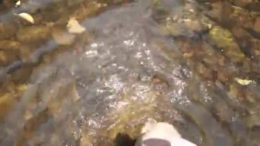 Sığ suya su şelale, üstten görünüm altında küçük kayalar ile yürüyüş