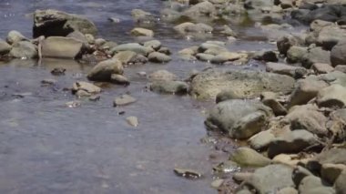 Şelale suyu sığ su alan, metin için yer sırasında bir kaya akan