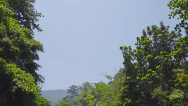 NAKHON NAYOK, TAILANDIA - 4 DE ABRIL DE 2015: Los turistas disfrutan de un restaurante especial que tiene un hermoso ambiente cerca del arroyo de la cascada, todo el mundo tiene la oportunidad de meter los pies dentro del arroyo mientras disfrutan comiendo — Vídeo de stock