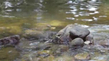 Su şelale alanında, metin için yer üstünde yüksek rock