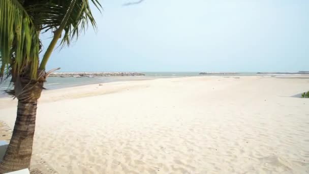Güçlü Rüzgar ve Hindistan cevizi ağaçları ile beyaz kum plaj ön plan olarak — Stok video