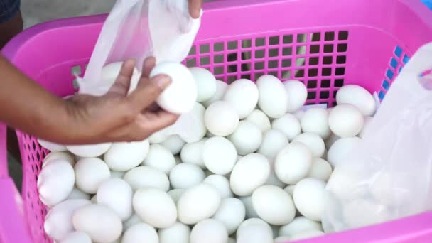 La mano está seleccionando huevos de pato en la bolsa — Vídeos de Stock