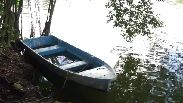 Pequeno barco deitado na margem do rio — Vídeo de Stock