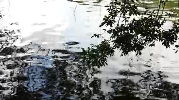 Atmosfären på åstranden med vatten krusas och några reflektioner — Stockvideo