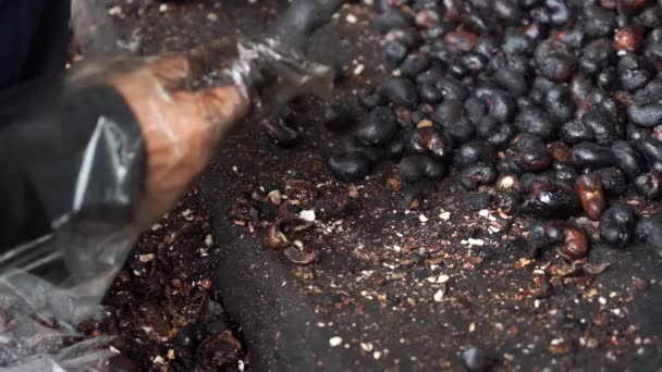 Arbeiter beschießen Cashewkerne mit Hämmern — Stockvideo