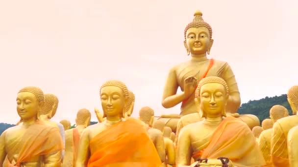 Buddha Phuttha Utthayan Makha Bucha Anusorn, Nakhon Nayok, Thailand — Stockvideo