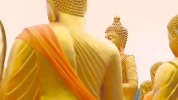 Buddha Phuttha Utthayan Makha Bucha Anusorn, Nakhon nayok, Thailandia — Video Stock