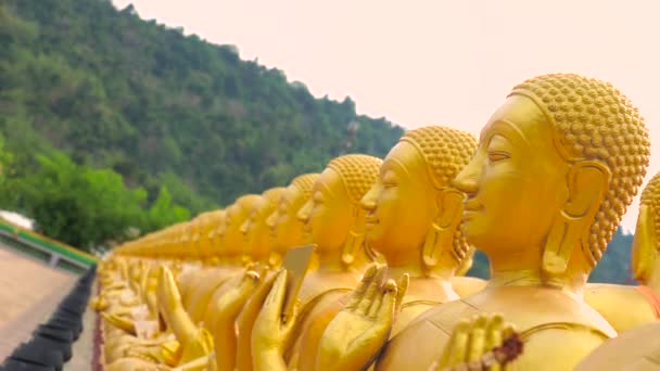 Buddha Phuttha Utthayan Makha Bucha Attila, Nakhon nayok, Thaiföld — Stock videók