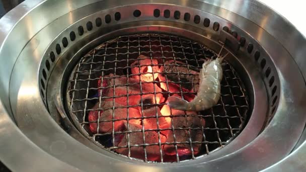 Estufas de barbacoa coreanas con chacoal, camarones crudos en el interior — Vídeo de stock