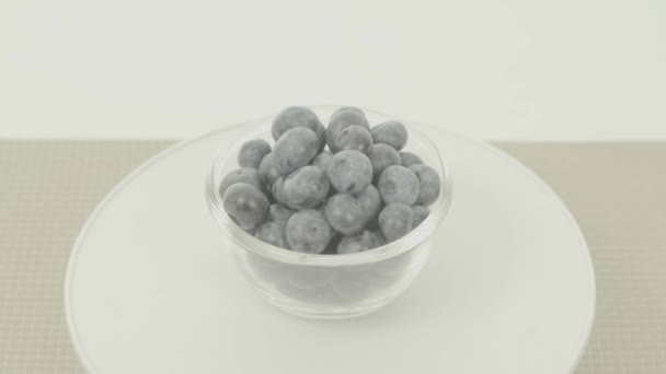 Färska blåbär i roterande skål, osorterade — Stockvideo