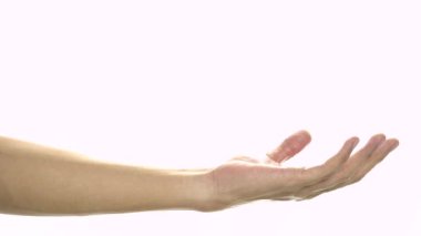 Su, yavaş taze turuncu hakkını, düştü