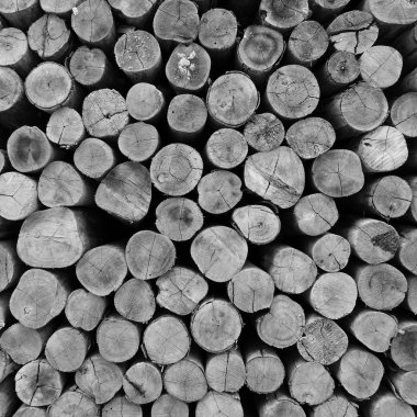 Gövde doku arka plan