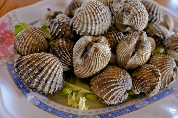 Cockle grill on white plate. — Stock Photo, Image