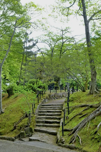 Walkway Lane Path With Green Trees in Forest. Beautiful Alley In — Stock Photo, Image