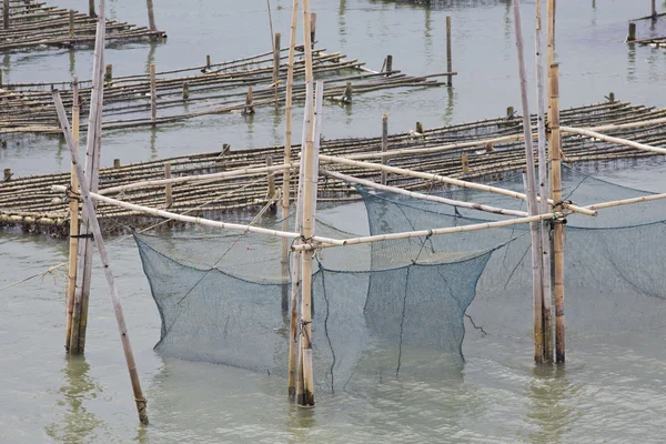 Кормушка для кормления рыбы в восточных морях Таиланда . — стоковое фото