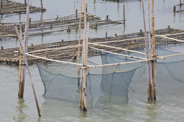 De coop voor het voederen van vis in ten oosten van Thailand zee. — Stockfoto