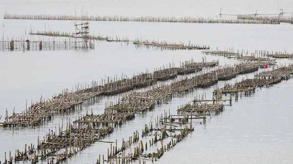 Le poulailler pour nourrir les poissons dans l'est de la mer de Thaïlande . — Photo